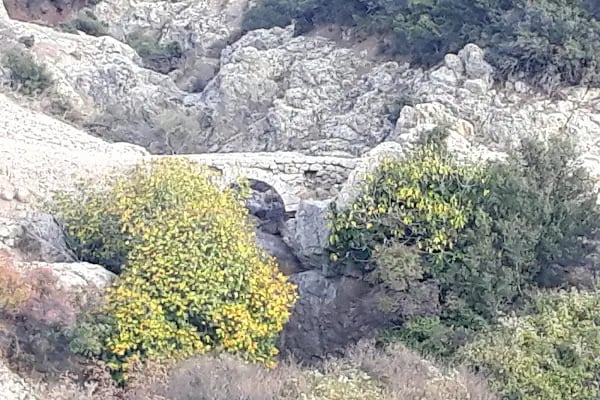 Yeniceköy Manastır - Resim 5