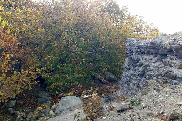 Yeniceköy Manastır - Resim 2
