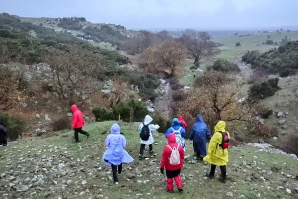 Yeniceköy Manastır - Resim 20