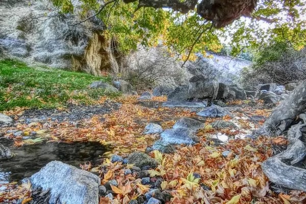 Yeniceköy Manastır - Resim 16