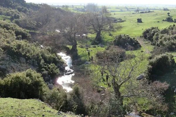 Yeniceköy Manastır - Resim 11