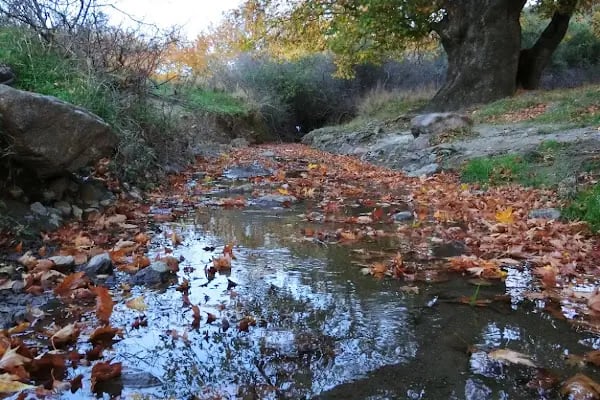 Yeniceköy Manastır - Resim 18
