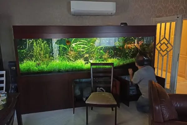 Kanka Pet Shop - Resim 15