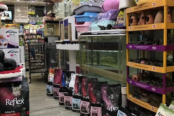 Kanka Pet Shop - Resim 18