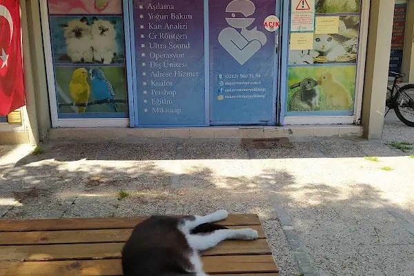 Ataköy Veteriner Polikliniği - Resim 5