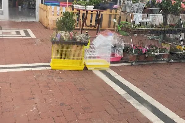 Altındağ Kadife Petshop - Resim 2