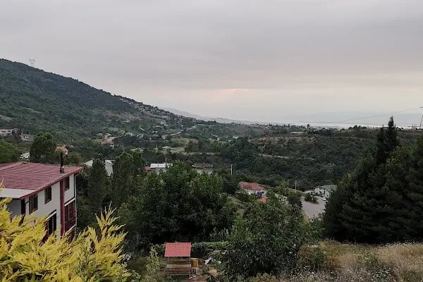Sinerit Restaurant - Resim 18