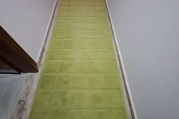 ADANA AVŞAR BUHARLI KOLTUK VE HALI YIKAMA - Resim 8