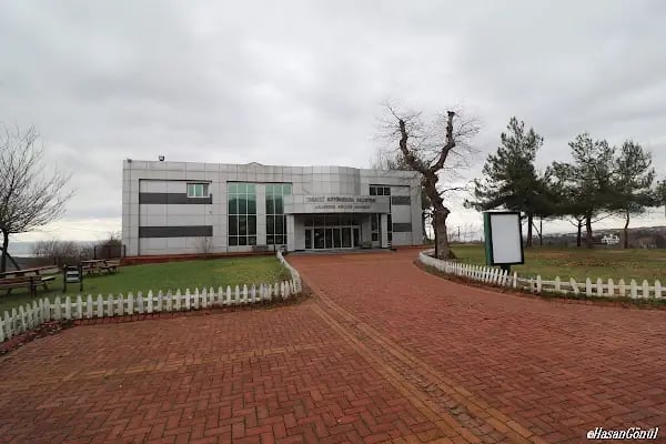 emex otel izmit spa &amp; masaj Türk hamamı - Resim 1