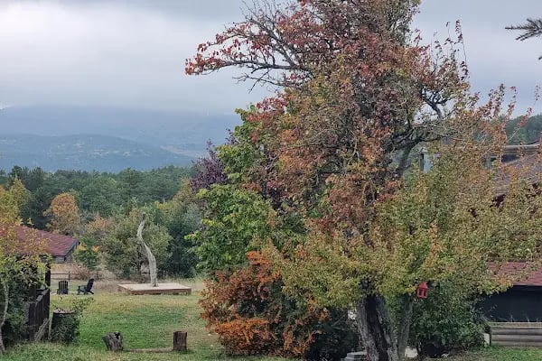 Sekoya Dağ Evi / Sekoya Mountain Lodge - Resim 15