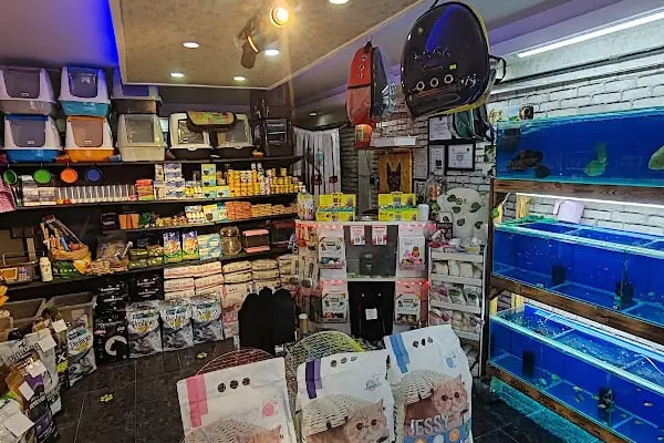 EYMEN PETSHOP AKVARYUM - Resim 17