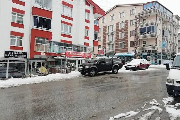 EYMEN PETSHOP AKVARYUM - Resim 10