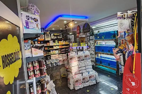 EYMEN PETSHOP AKVARYUM - Resim 20