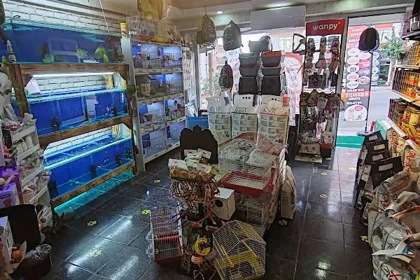 EYMEN PETSHOP AKVARYUM - Resim 18