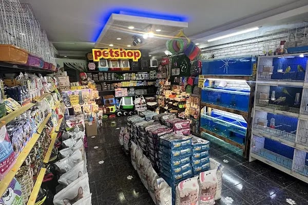 EYMEN PETSHOP AKVARYUM - Resim 2