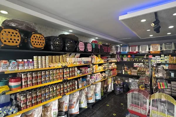 EYMEN PETSHOP AKVARYUM - Resim 13