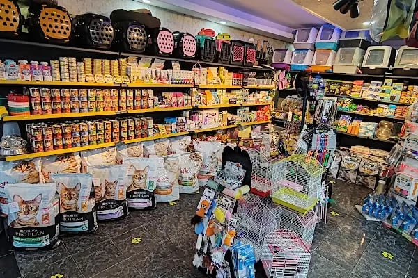 EYMEN PETSHOP AKVARYUM - Resim 8