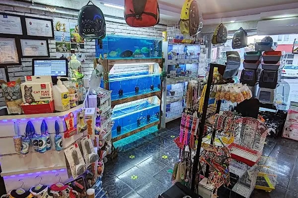 EYMEN PETSHOP AKVARYUM - Resim 16