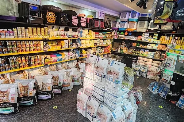 EYMEN PETSHOP AKVARYUM - Resim 12