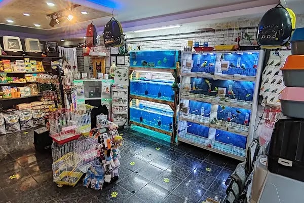 EYMEN PETSHOP AKVARYUM - Resim 15