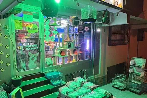 EYMEN PETSHOP AKVARYUM - Resim 1