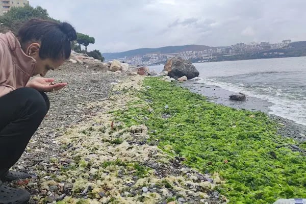 Manastır Düğün Salonu - Resim 8