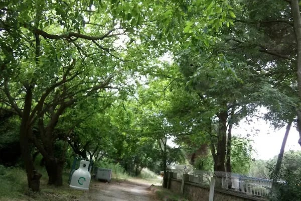 Gebze Yüksek Teknoloji Ensitüsü Kültür Merkez - Resim 3