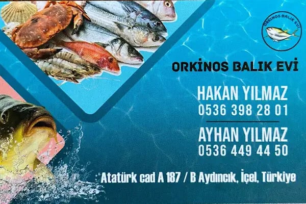 Orkinos Balık Evi - Resim 16