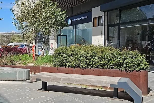 Güneşli Arkadaş Veteriner Kliniği - Resim 6