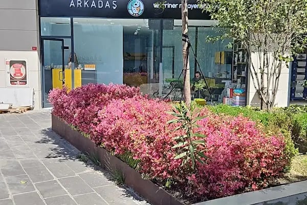 Güneşli Arkadaş Veteriner Kliniği - Resim 5