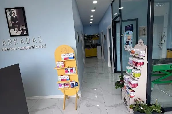Güneşli Arkadaş Veteriner Kliniği - Resim 12