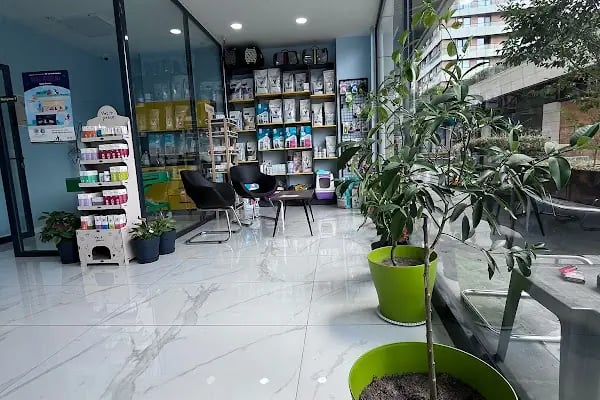 Güneşli Arkadaş Veteriner Kliniği - Resim 2