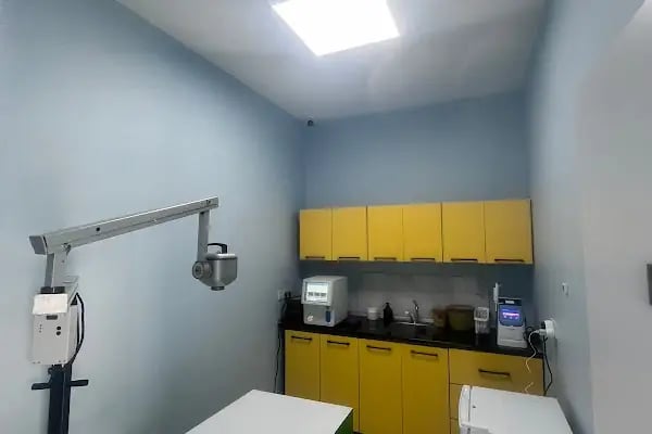 Güneşli Arkadaş Veteriner Kliniği - Resim 3