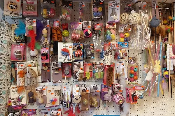Yalıkavak Beykoz Pet Shop - Resim 3