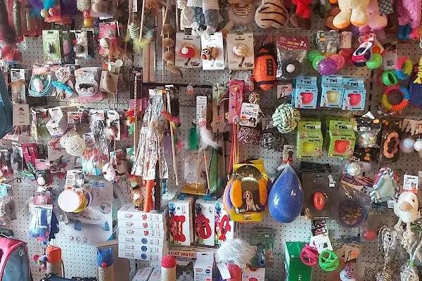 Yalıkavak Beykoz Pet Shop - Resim 18