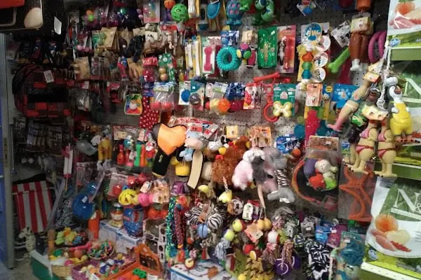 Yalıkavak Beykoz Pet Shop - Resim 9