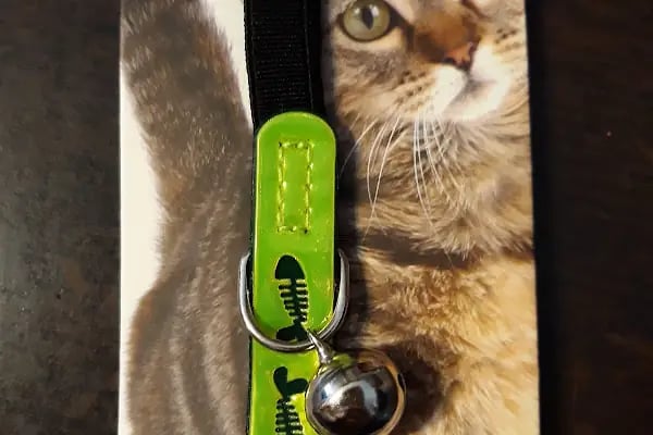 Yalıkavak Beykoz Pet Shop - Resim 6