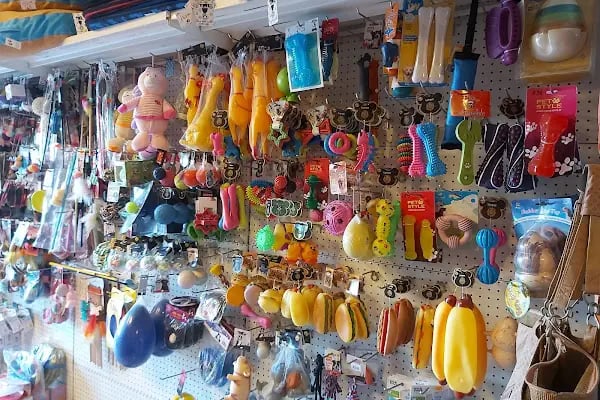 Yalıkavak Beykoz Pet Shop - Resim 15