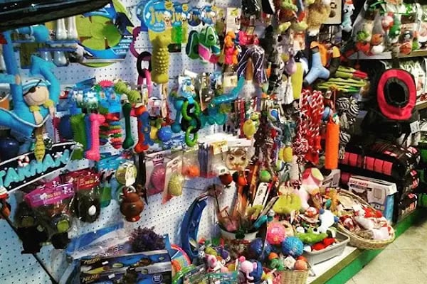 Yalıkavak Beykoz Pet Shop - Resim 12