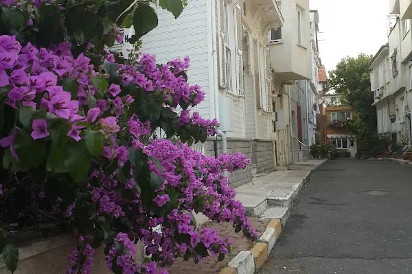 Burgazada Mahallesi Muhtarlığı - Resim 4