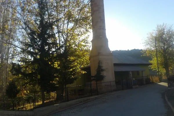 Gireği Merkez Cami - Resim 6