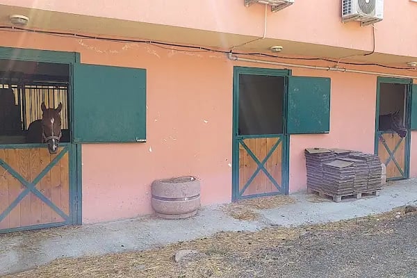 İstanbul Üniversitesi Cerahpaşa Binicilik Merkezi - Resim 2