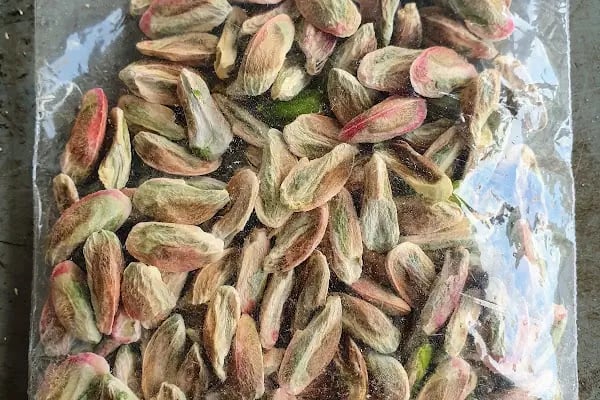 Sebat Fıstık Ticaret - Resim 7