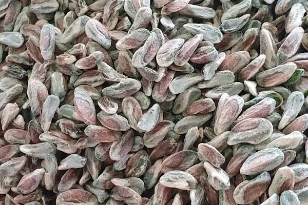 Sebat Fıstık Ticaret - Resim 13
