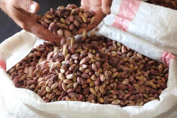 Sebat Fıstık Ticaret - Resim 8