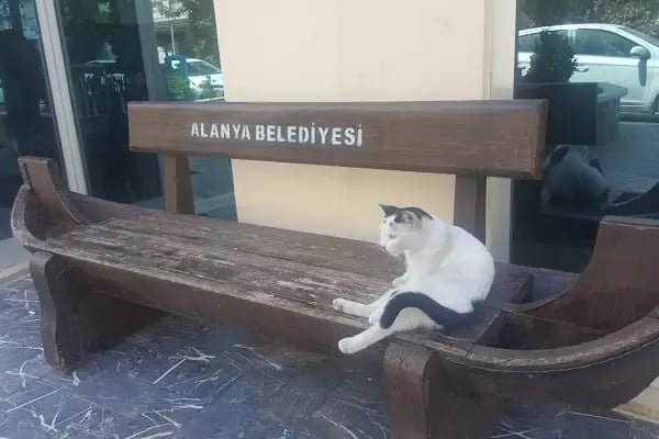 Emine Hacıkura Kütüphanesi - Resim 4