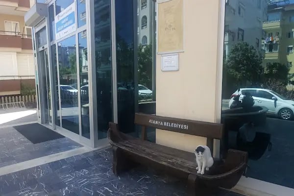 Emine Hacıkura Kütüphanesi - Resim 3
