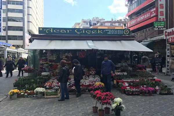 ACAR ÇİÇEKÇİLİK VE PEYZAJ - Resim 2