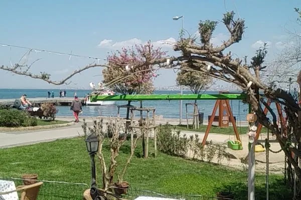 Palmiye Pansiyon - Resim 15