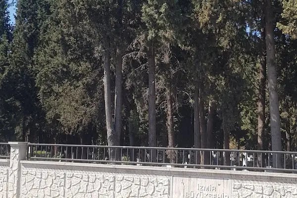 Soğukkuyu Mezarlığı - Resim 14
